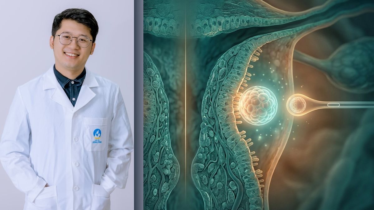 ThS.BS Đào Đức Tùng phân tích cơ chế cửa sổ làm tổ và so sánh chuyển phôi tươi và chuyển phôi trữ FET