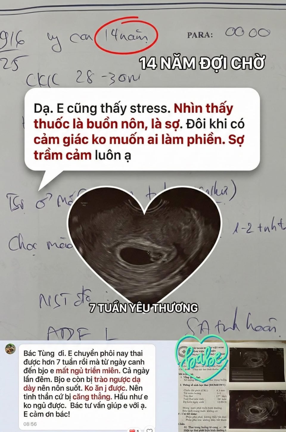 Ảnh tổng hợp hành trình 14 năm tìm con và thai 7 tuần của gia đình chị Y.